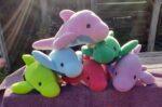 Colourful dolphins Colourful dolphins