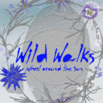 Wild Walks: Cultural Walking Tours © Edgelands Gallery & Cultural Centre Wild Walks: Cultural Walking Tours © Edgelands Gallery & Cultural Centre