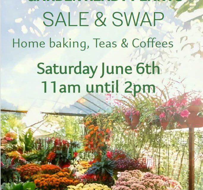 Garden Ready Plants Sale or Swap – Whitehouse